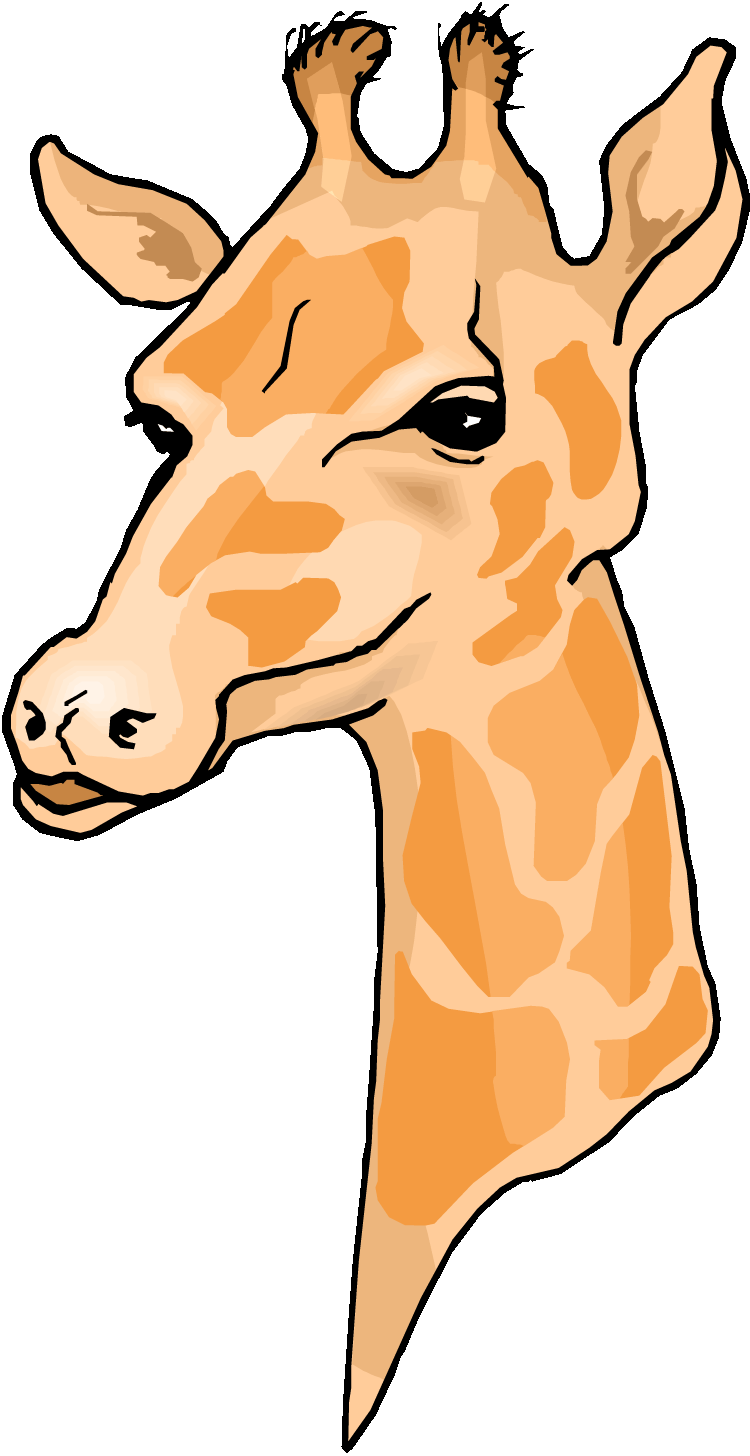 750x1456 Clip Art Giraffe
