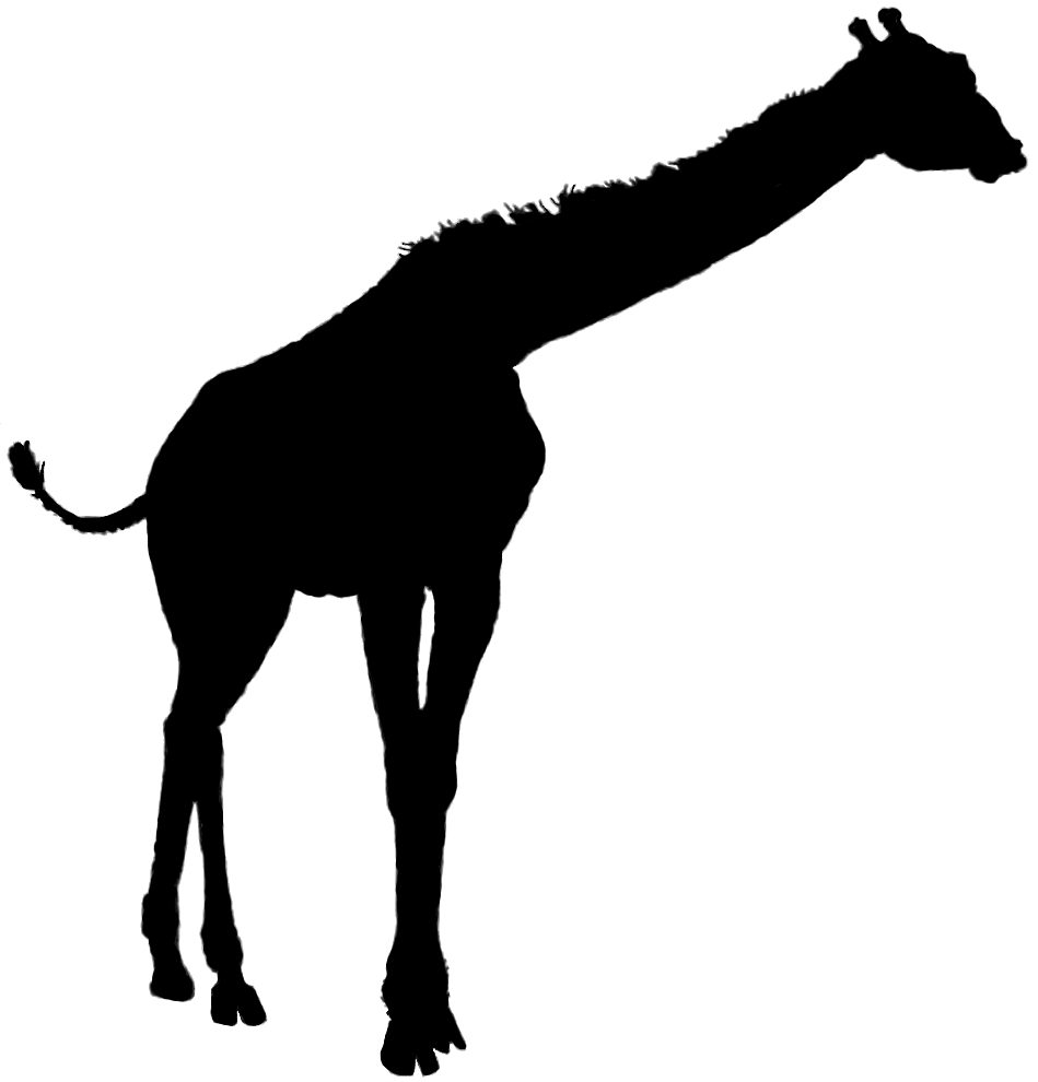 949x990 Giraffe Silhouette Clip Art Many Interesting Cliparts