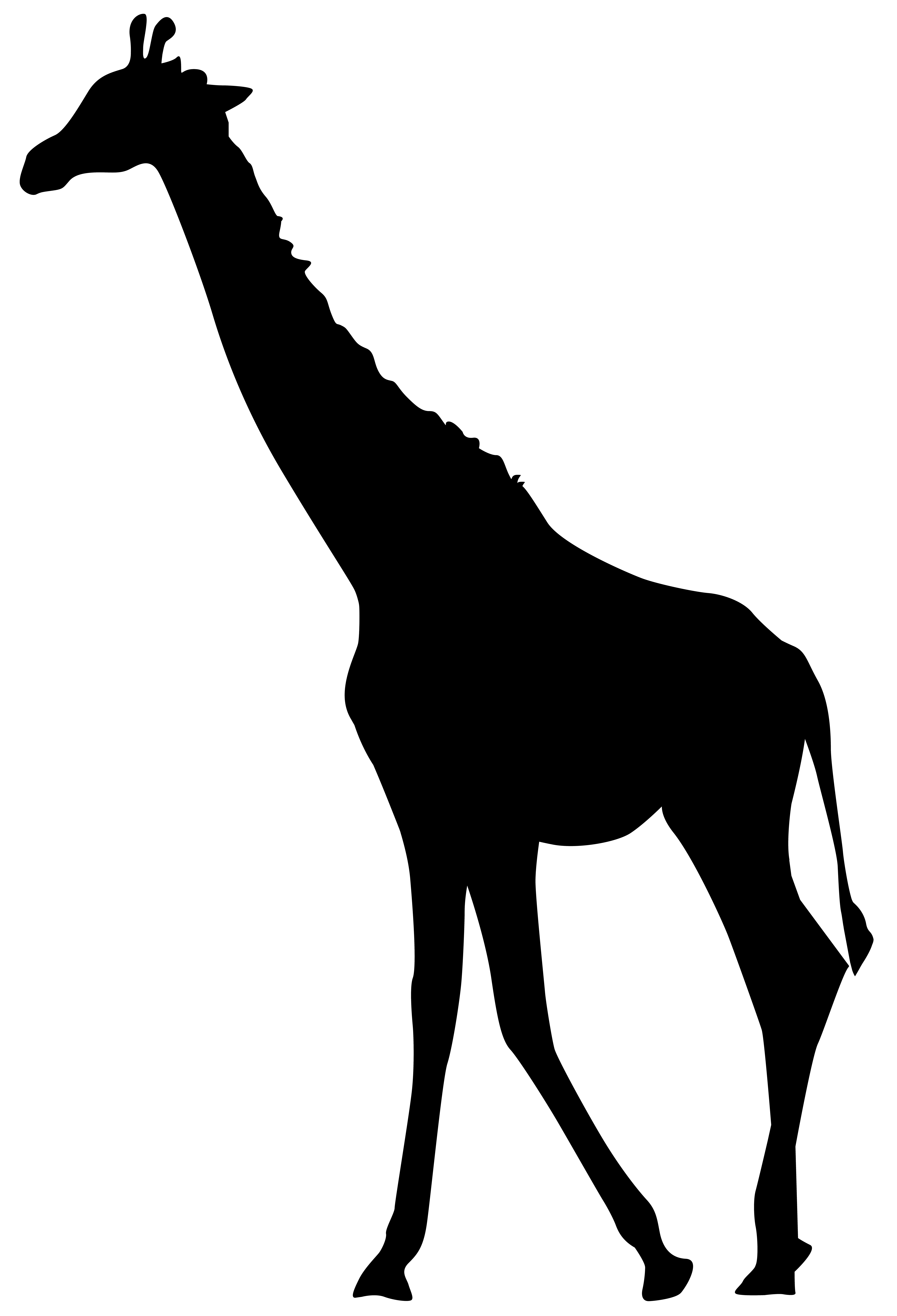 5455x8000 Transparent Giraffe Clipart