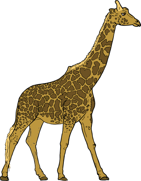 462x592 Giraffe Clipart Frpic