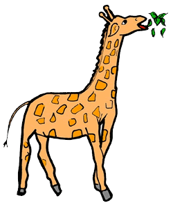 250x296 Giraffe Eating