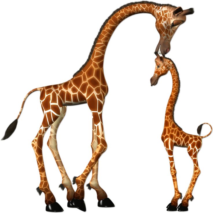 736x736 Giraffe Clipart Disney