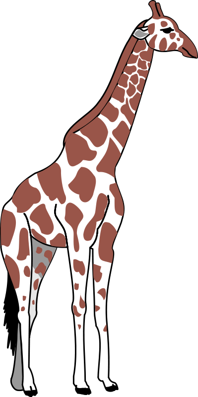 399x800 Giraffe Clip Art Clipart New Cartoon Giraffe 256x256