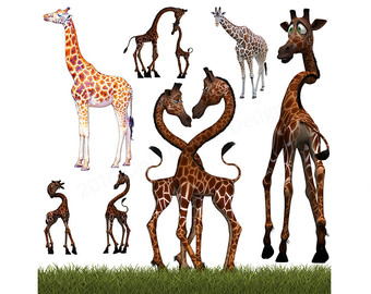 340x270 Brds Clipart Giraffe