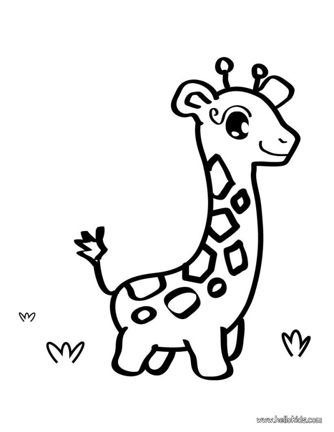 687x888 Coloring Pages Giraffe Coloring Pages 7 Page Giraffe Coloring