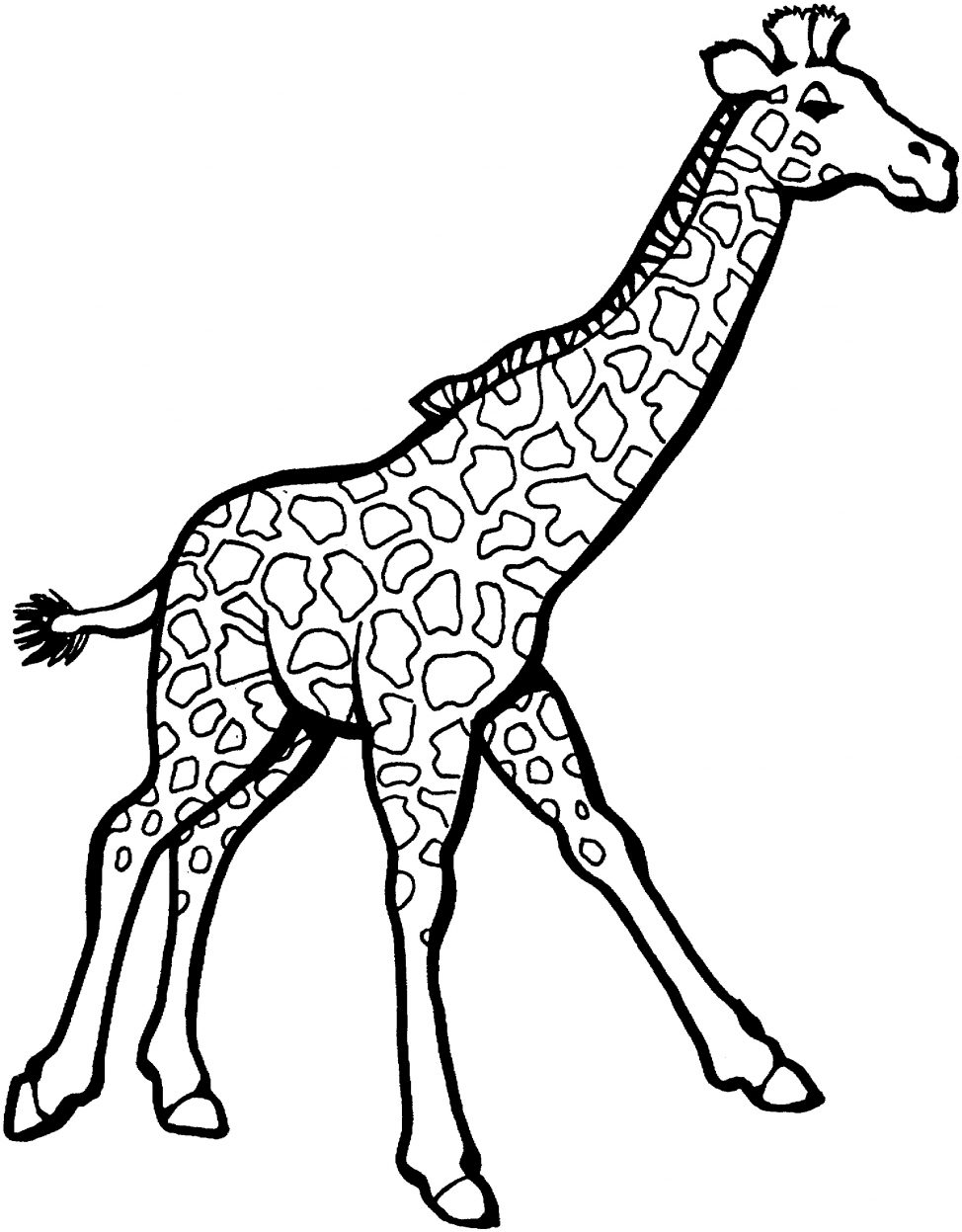 974x1247 Coloring Pages Giraffe Colouring Page 24 Coloring Pages Giraffe