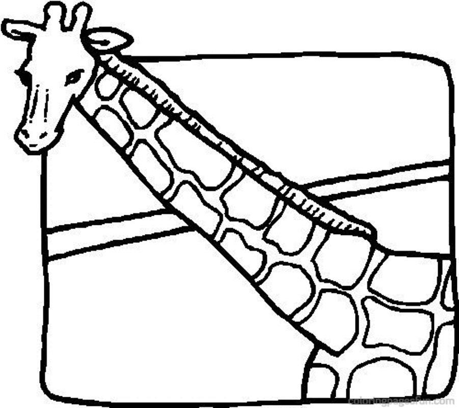 901x800 Coloring Pages Of A Giraffe