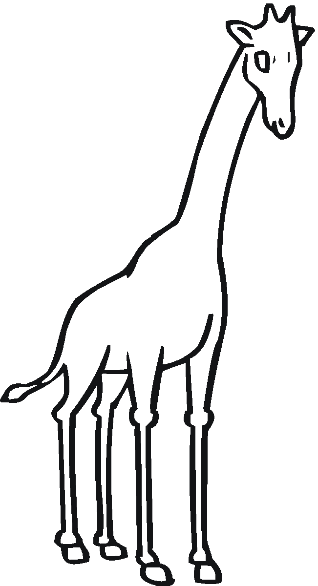 651x1200 Free Giraffe Coloring Pages