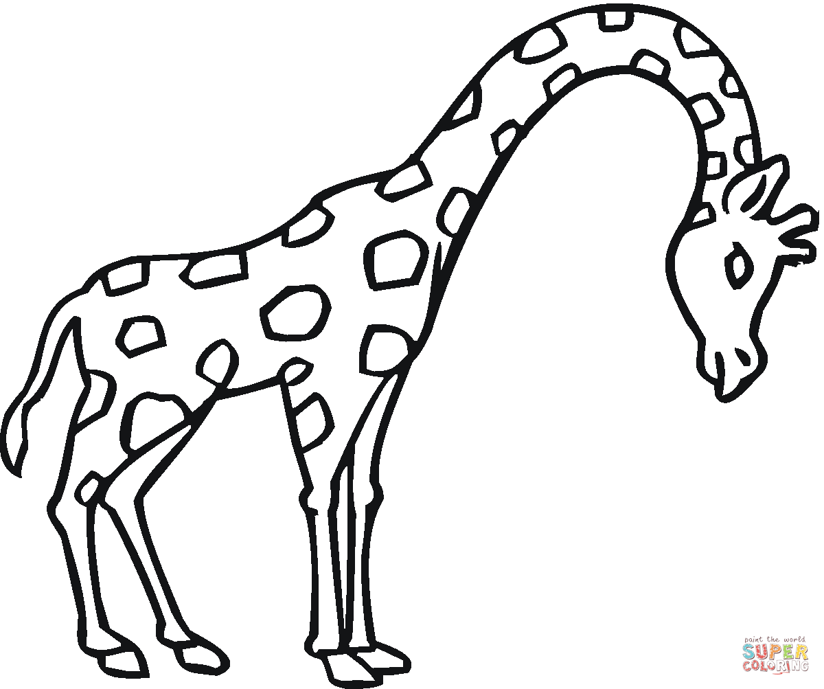 1200x1003 Giraffes Coloring Pages Free Coloring Pages