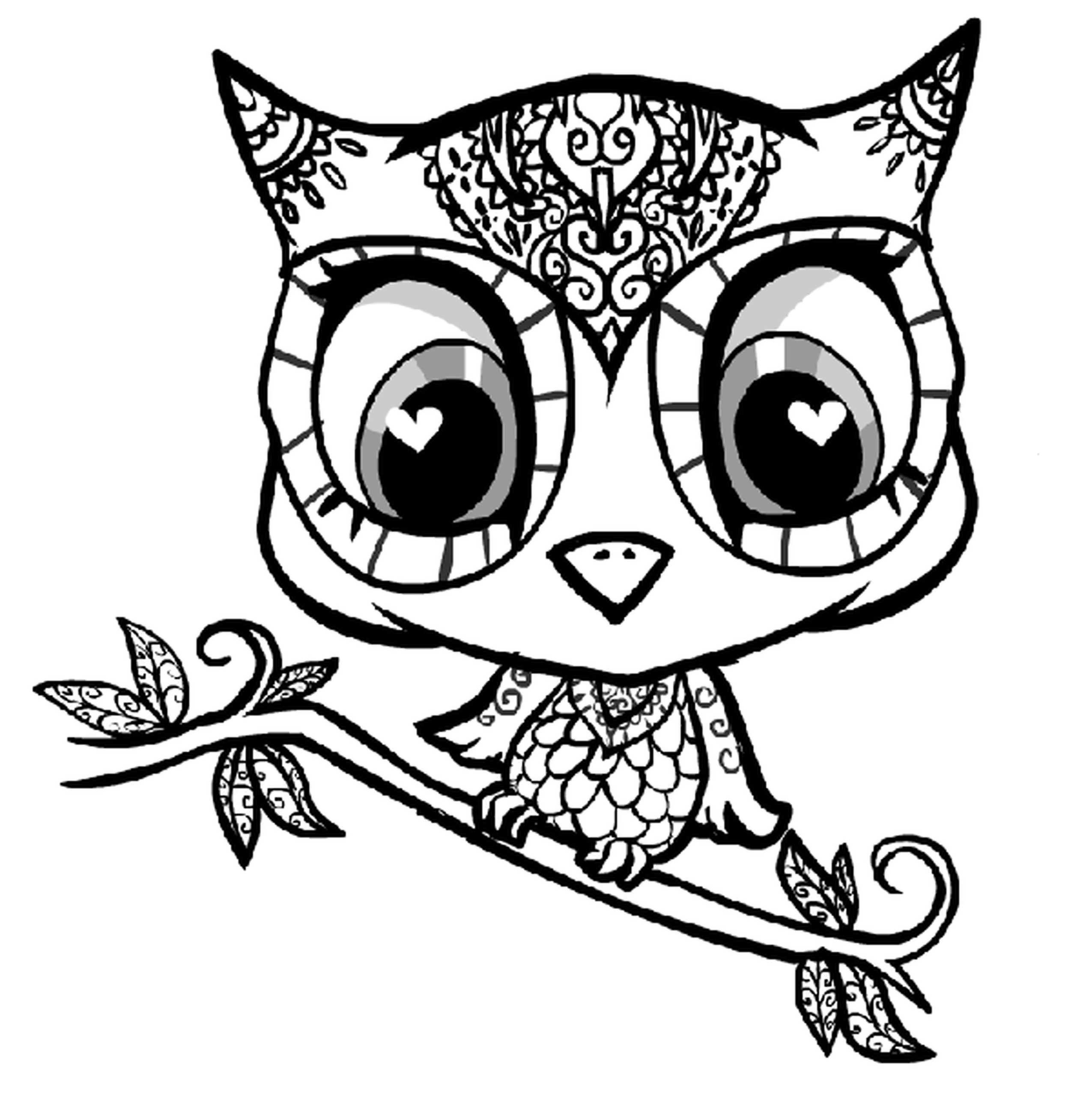2550x2580 Animal Giraffe Coloring Pages Printable Owl Pictures Owl