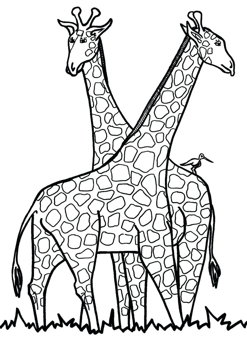 863x1201 Coloring Pages Fascinating Printable Giraffe. Free Printable