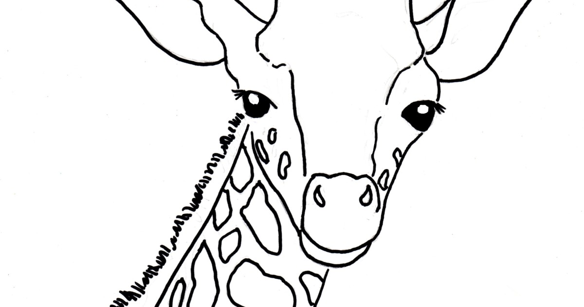 1200x630 Giraffe Head Coloring Pages Murderthestout