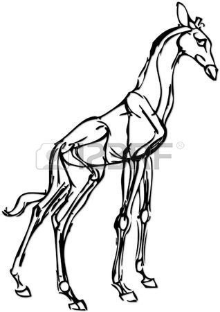 318x450 Simple Drawing Of A Giraffe With Vector Effect Stock Photo