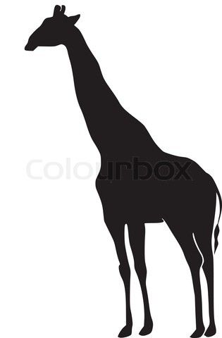 315x480 Die Besten Giraffen Silhouette Ideen Auf Giraffen