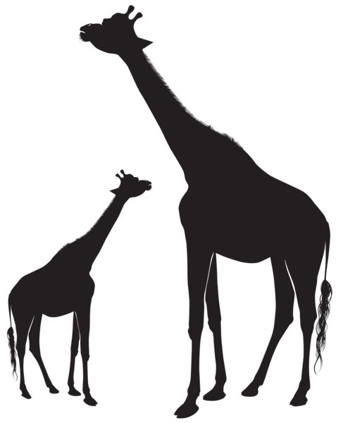 487x600 Giraffes Silhouette Png Clip Art Image Silhouettes