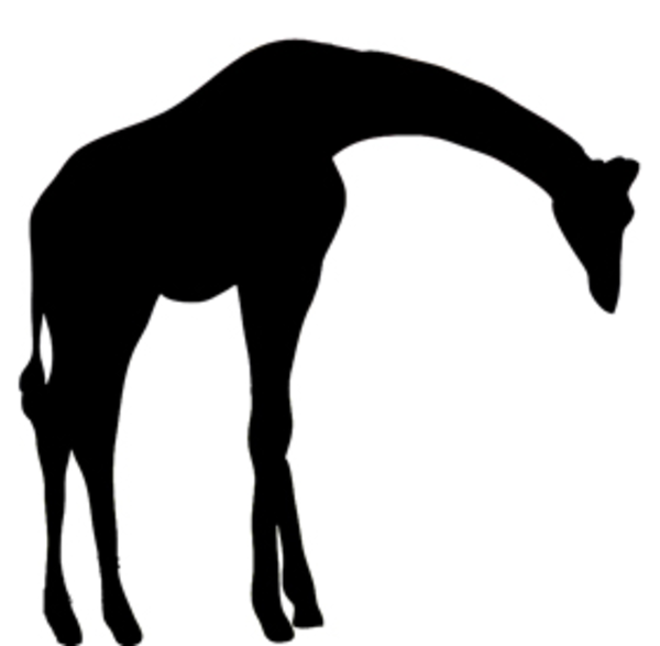 600x587 Silhouette Clipart Giraffe Free Images