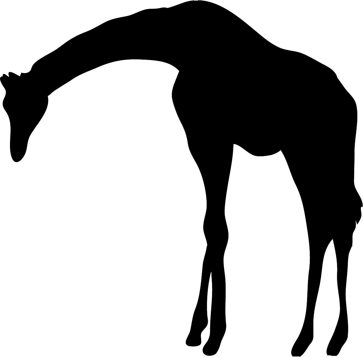 1200x1182 Top Animal Silhouette Giraffe Cdr