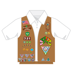 250x250 Official Brownie Vest