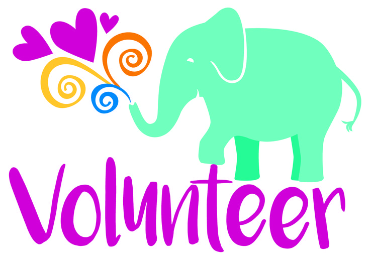 736x528 544 Best Girl Scout Cookies Everything! Images