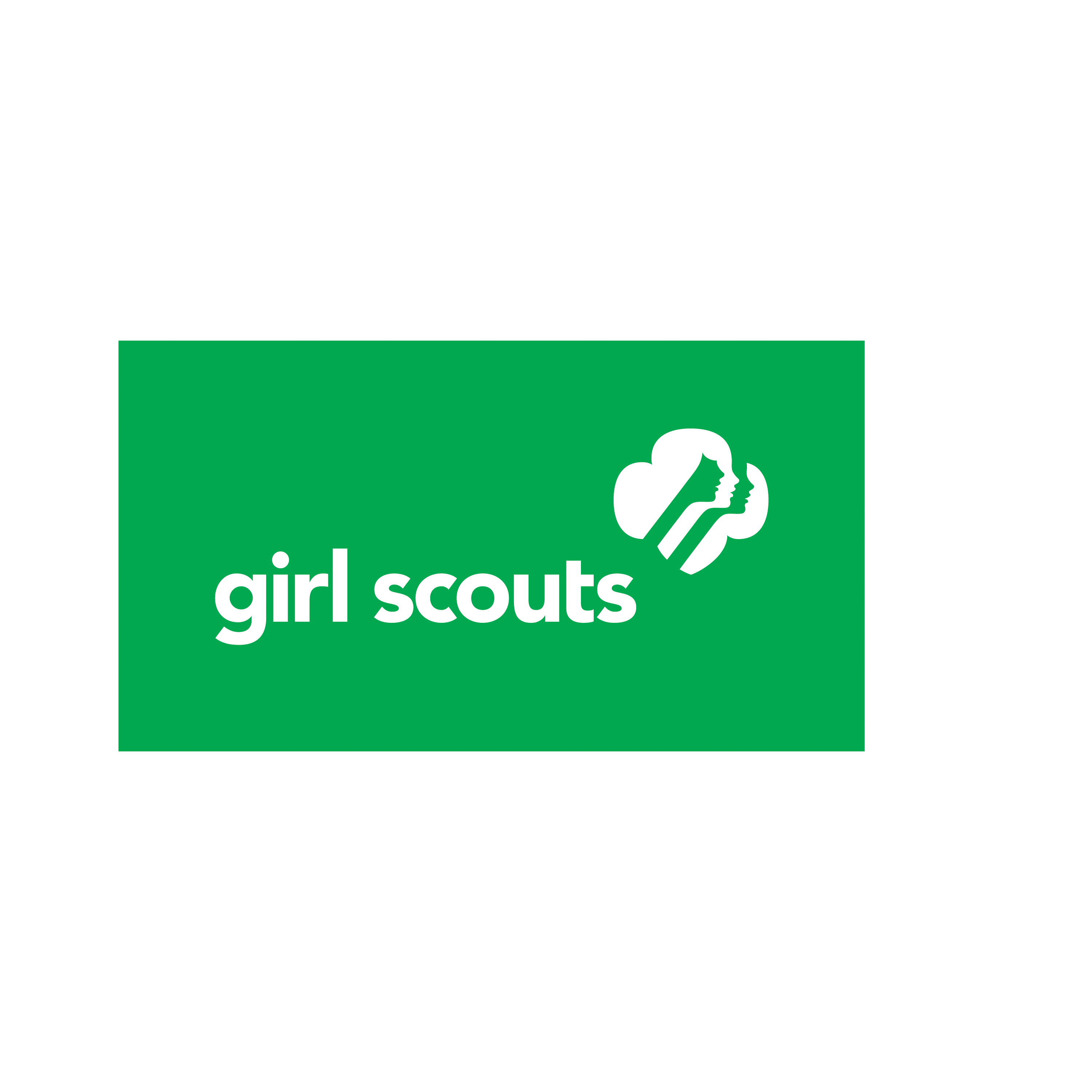 3000x3000 Girl Scout Cookie Logo Clip Art