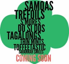 225x210 Girl Scout Cookies Ebay