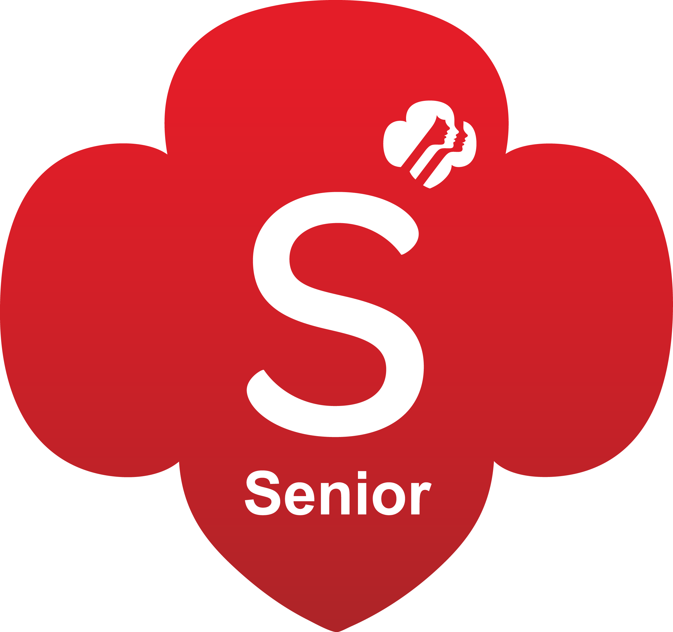 2322x2181 The Academy Of Racing Girl Scout Programs