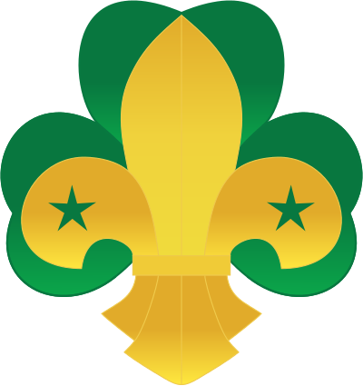 400x425 Only 1 Out Of 7 People Can Get 100% On This Girl Scout Quiz