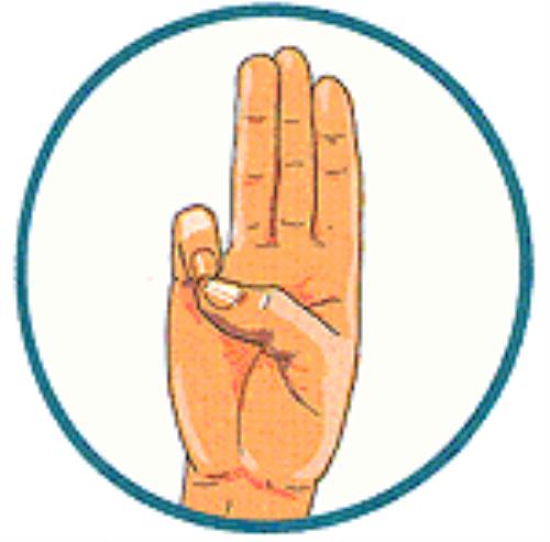 500x493 Girl Scout Sign Hand Clipart