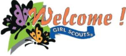 500x222 Girl Scout Troop 222 (Dunedin, Florida) Homepage