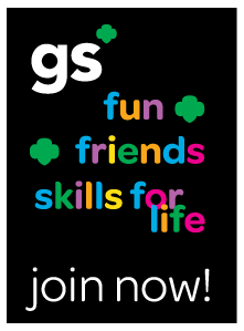 221x299 Northborough Girl Scouts