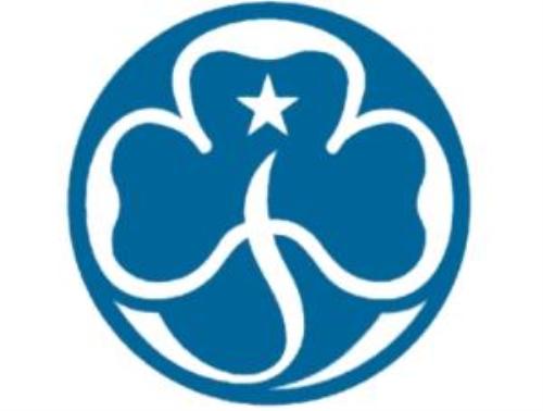 500x378 Public Girl Scout Basics