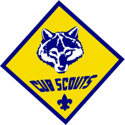 250x250 Scouting Programs