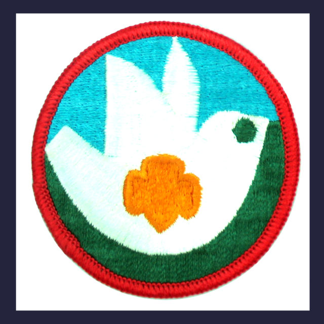 640x640 Senior Girl Scout Collection On Ebay!