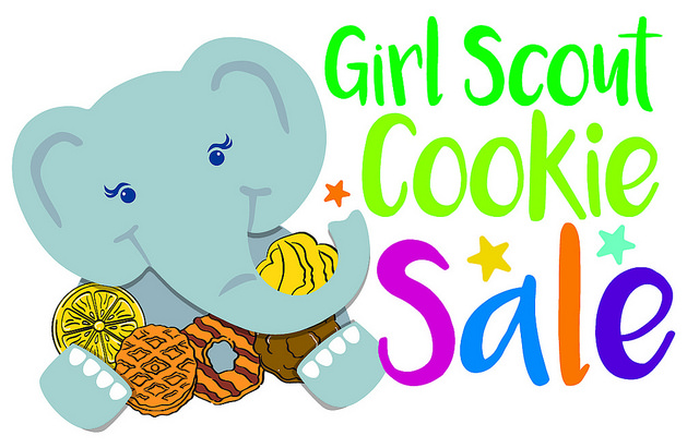 640x411 Lakeville Girl Scouts