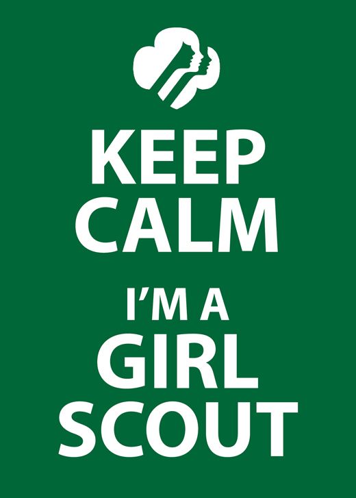 520x727 87 Best Girl Scout Quotes Images Girl Guides