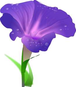 261x299 Morning Glory Flower Clip Art