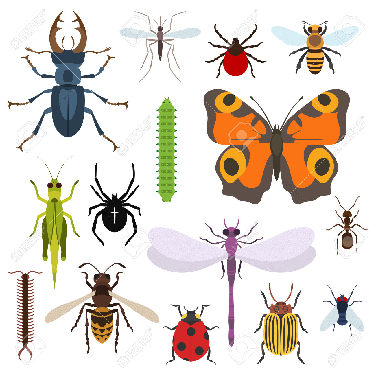Gnat Clipart | Free download on ClipArtMag