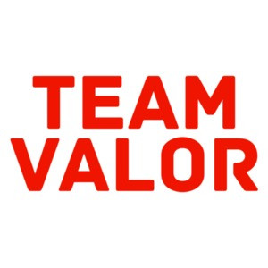 300x300 Pokemon Go Team Instinct Shirt