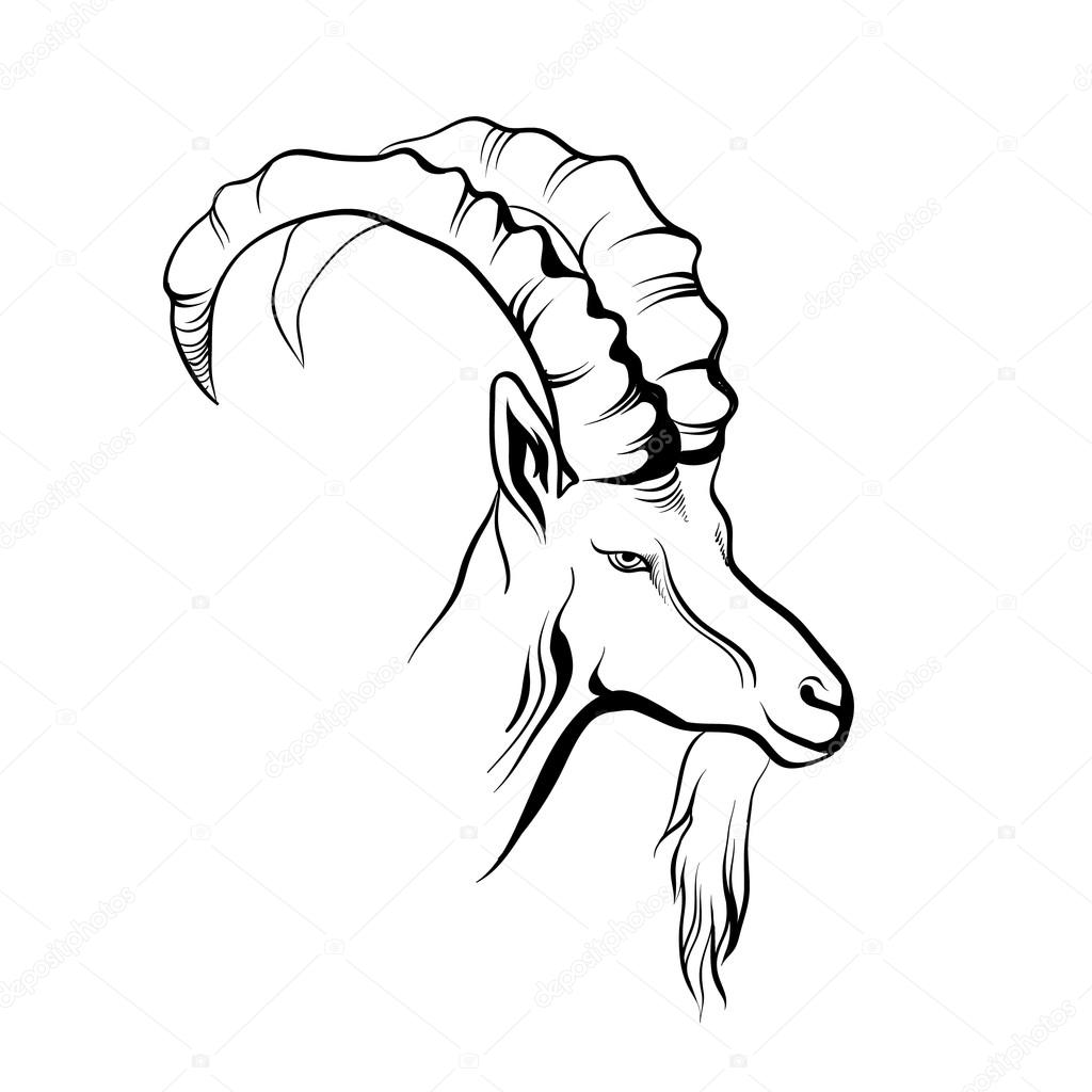 1024x1024 Mountain Goat Black And White Stock Vector Gingerkatya