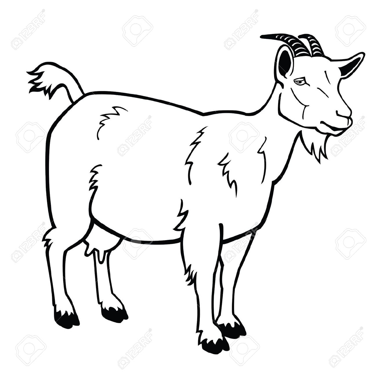 1300x1300 White Goat Clipart