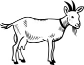 168x131 Goat Clip Art Black And White Cliparts