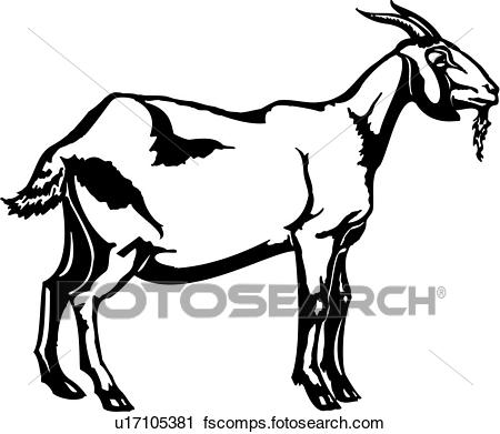 450x391 Clipart Of , Animal, Farm, Goat, U17105381
