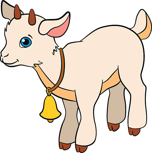 606x612 Cute Clipart Baby Goat