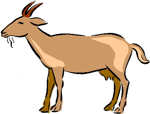490x374 Goats Clipart