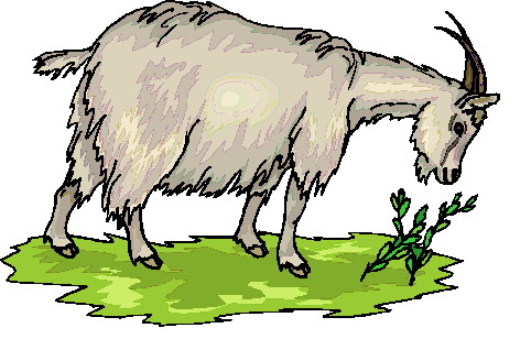 482x318 Goat Clip Art Black And White Image Free Clipart