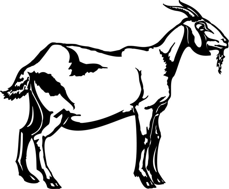 784x648 Goat Clip Art Vector Goat Graphics Image 3