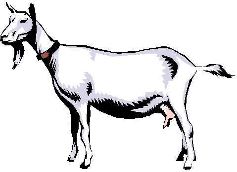 479x349 Boer Goat Clip Art