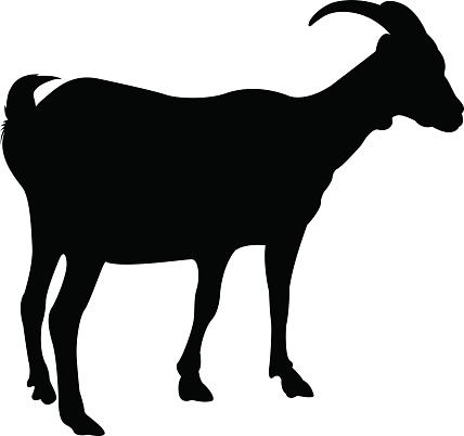 428x402 Graphics For Goat Silhouette Graphics