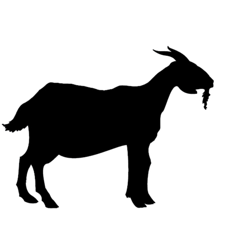 800x800 Graphics For La Mancha Goat Graphics