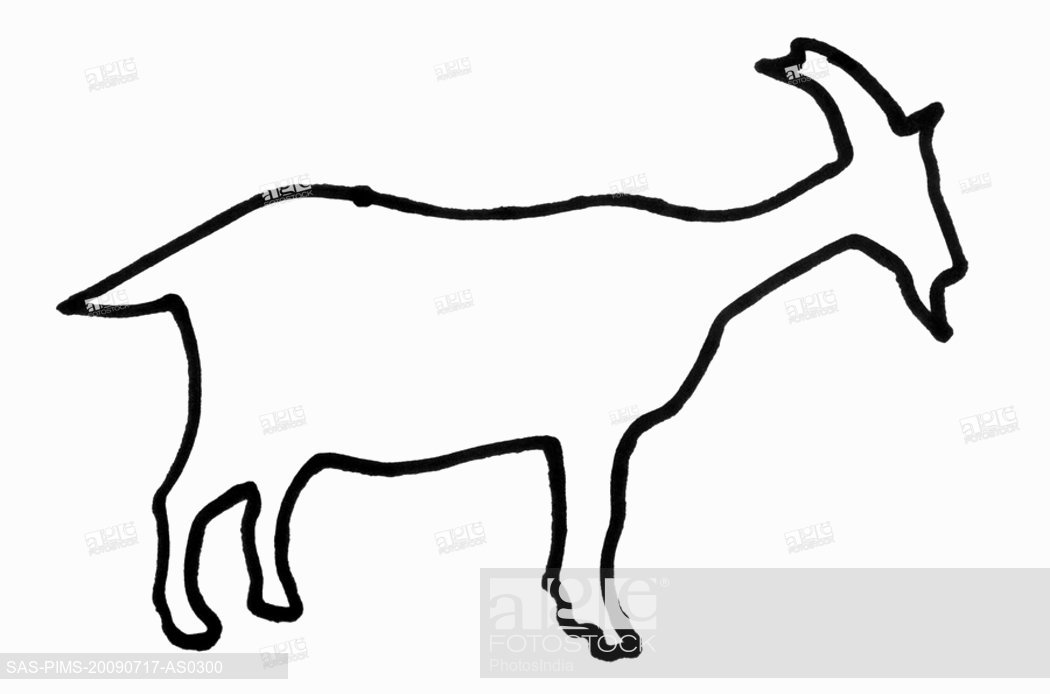 1050x694 Outline Of A Goat, Stock Photo, Picture And Royalty Free Image
